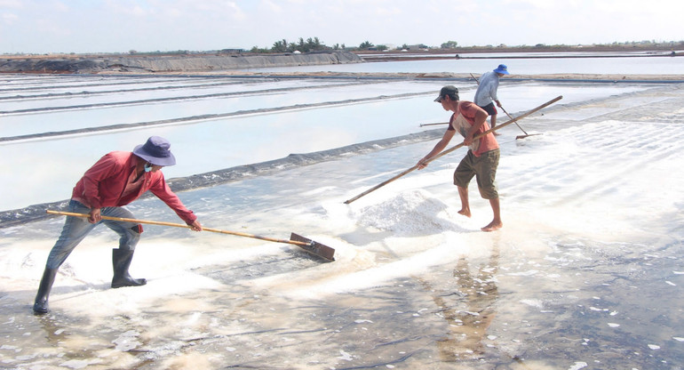Nghề làm muối của diêm dân Bạc Liêu rất vất vả, bấp bênh, nhất là trong điều kiện biến đổi khí hậu ngày càng gay gắt.