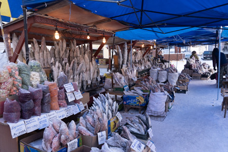 Hơn 200 chuyên gia sẽ tham dự hội nghị về biến đổi khí hậu tại Nga ảnh 1