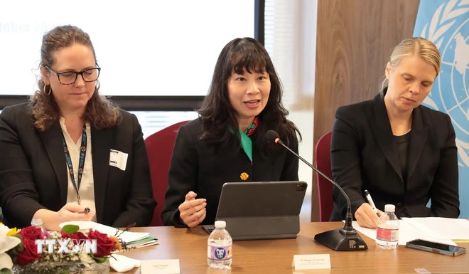 Phó Giáo sư-Tiến sĩ Nguyễn Thị Lan Anh, Viện trưởng Viện Biển Đông, Học viện Ngoại giao, phát biểu tại hội thảo. (Ảnh: Thanh Tuấn/TTXVN)