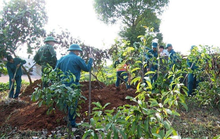 Khu vực xác định có an táng liệt sĩ.