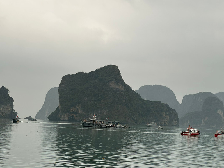Lực lượng tìm kiếm cứu nạn huy động các tàu cá tiến hành rà quét bằng lưới.