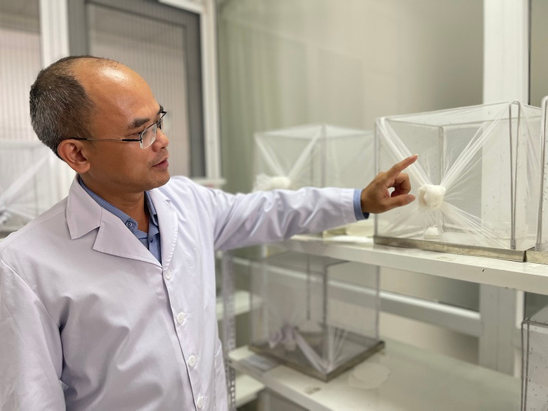 Bác sĩ Dũng khuyến cáo phương pháp để phòng, chống sốt xuất huyết.