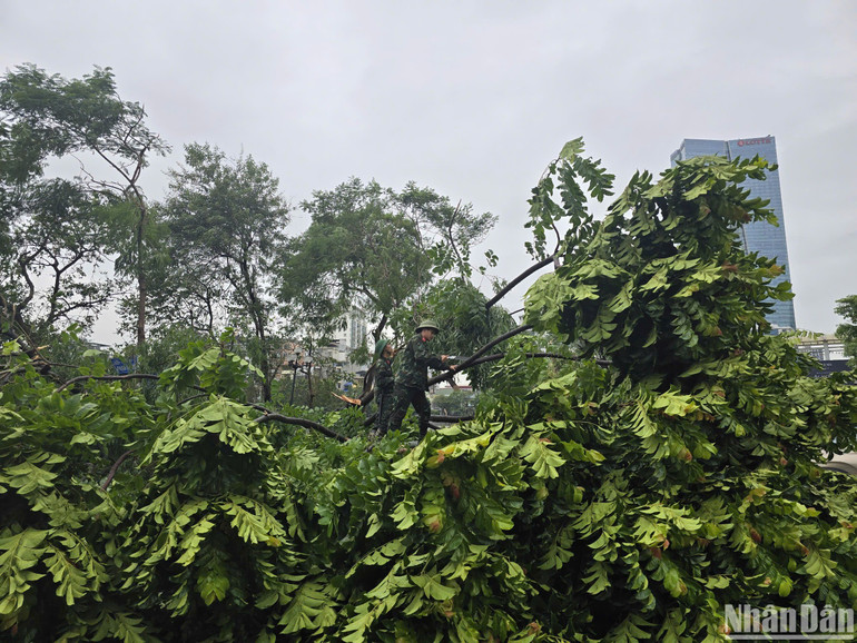 Cắt tỉa cành cây để giải tỏa giao thông cho nhiều tuyến đường. (Ảnh: TRUNG HIẾU)