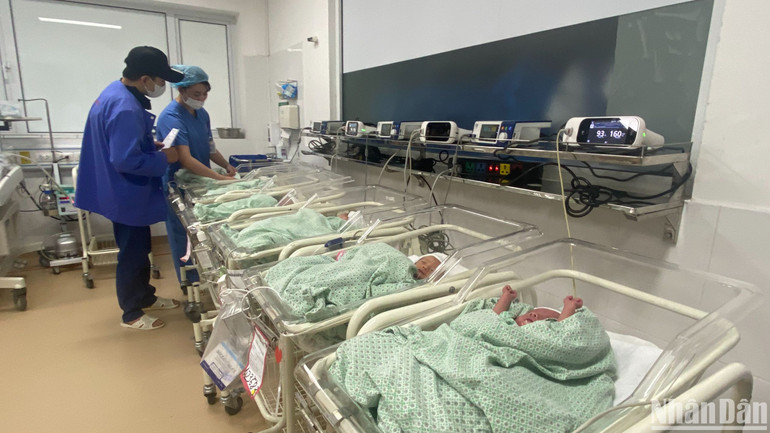 Những em bé sinh non được chăm sóc tỉ mỉ, theo dõi các chỉ số từng giờ.