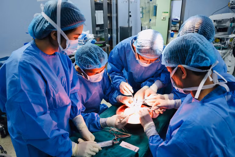 Các bác sĩ tiến hành ghép gan cho nam bệnh nhân.