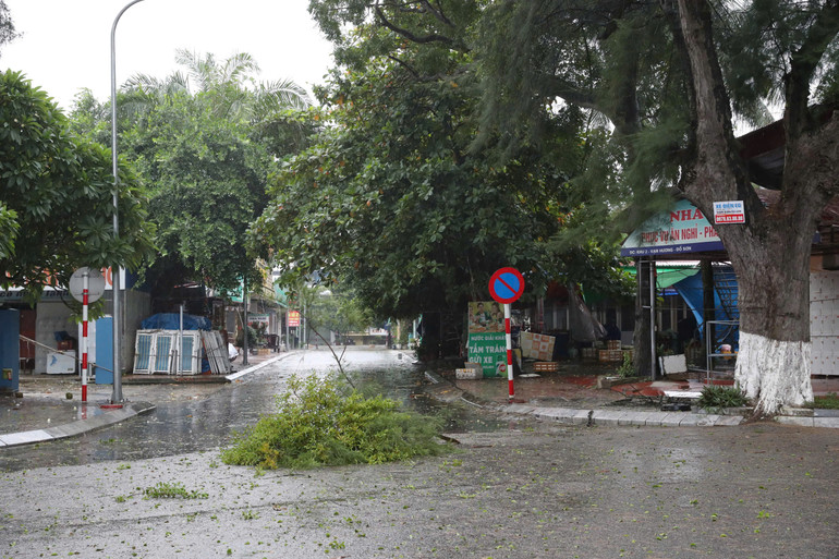 Một số cành cây bị gió quật gẫy. Một số cành cây bị gió quật gẫy.