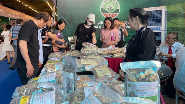 Nhiều loại dược liệu quý được giới thiệu tại hội chợ.