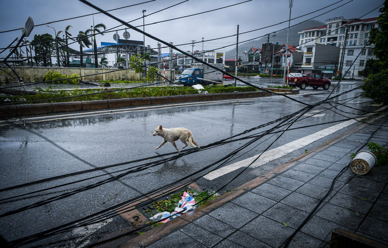 [Live] Bão số 3 di chuyển về phía Tây Bắc Bộ và suy yếu thành áp thấp nhiệt đới ảnh 150