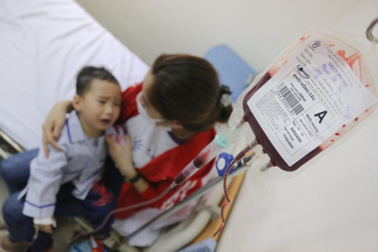 Thalassemia đã gây ra nhiều gánh nặng về sức khỏe.