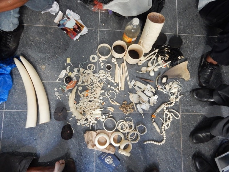 Các tang vật thu được từ vụ vận chuyển trái phép các sản phẩm từ động vật hoang dã.