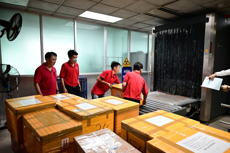 Bảo đảm cung cấp đủ máu cho điều trị.