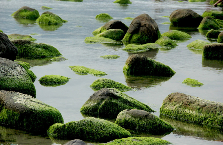 Bức tranh tuyệt đẹp.