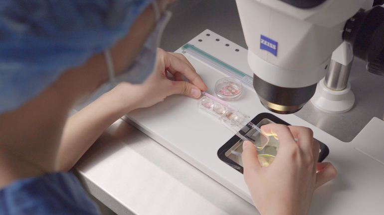 Chuyên viên phôi học đang thao tác với môi trường trữ phôi Cryotec RtU.