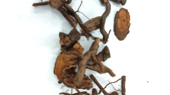 Rễ cây sắc thuốc được người nhà bệnh nhân cung cấp, qua xét nghiệm là rễ cây lá ngón. Rễ cây sắc thuốc được người nhà bệnh nhân cung cấp, qua xét nghiệm là rễ cây lá ngón.