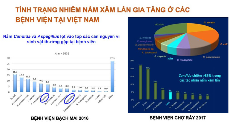 Tiến sĩ, bác sĩ Lê Quốc Hùng, Trưởng khoa Bệnh nhiệt đới, Bệnh viện Chợ Rẫy chia sẻ tình trạng nhiễm nấm xâm lấn gia tăng ở các bệnh viện tại Việt Nam. Tiến sĩ, bác sĩ Lê Quốc Hùng, Trưởng khoa Bệnh nhiệt đới, Bệnh viện Chợ Rẫy chia sẻ tình trạng nhiễm nấm xâm lấn gia tăng ở các bệnh viện tại Việt Nam.
