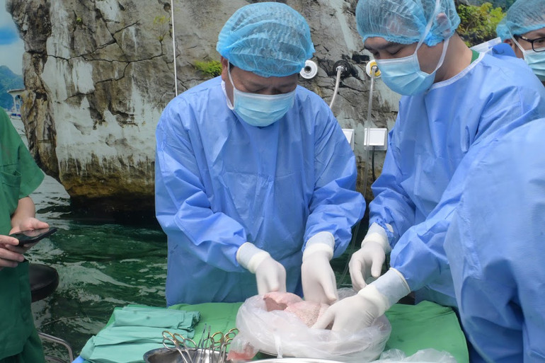 Tiến sĩ, bác sĩ Đinh Văn Lượng, Giám đốc Bệnh viện Phổi Trung ương chuẩn bị ghép phổi cho người bệnh.