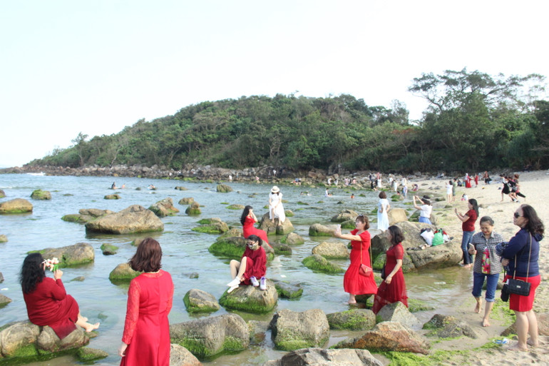 Hàng trăm lượt khách đến ngắm rêu bãi Rạn Nam Ô mỗi ngày.