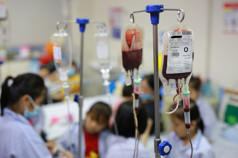 Người bệnh thalassemia cần định kỳ truyền máu (khối hồng cầu), thải sắt và điều trị biến chứng tại các bệnh viện. Người bệnh thalassemia cần định kỳ truyền máu (khối hồng cầu), thải sắt và điều trị biến chứng tại các bệnh viện.