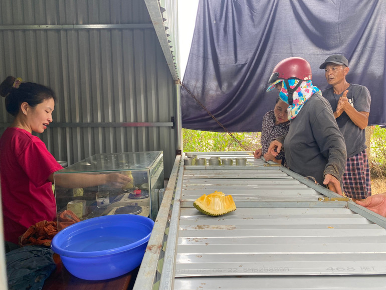 Điểm thu mua mủ cao su đang thử độ mủ để trả tiền cho người bán. Điểm thu mua mủ cao su đang thử độ mủ để trả tiền cho người bán.