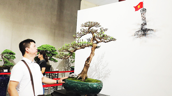 Giới thiệu những nghề tinh hoa của mảnh đất Thủ đô. Giới thiệu những nghề tinh hoa của mảnh đất Thủ đô.