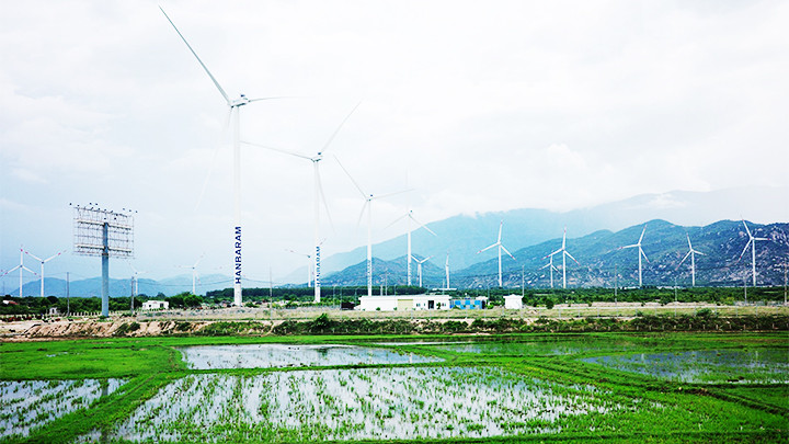 Cánh đồng điện gió Đầm Nại.