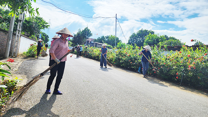 Nhiều tuyến đường hoa được trồng mới ở Ba Vì. Nhiều tuyến đường hoa được trồng mới ở Ba Vì.