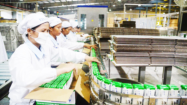 Công ty cổ phần Sữa Việt Nam - Vinamilk là một thương hiệu Việt có giá trị cao trên thị trường quốc tế. Ảnh: TRỌNG HIẾU