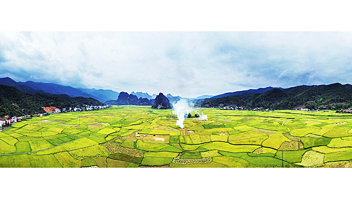 Cánh đồng lúa ở Tủa Chùa. Cánh đồng lúa ở Tủa Chùa.