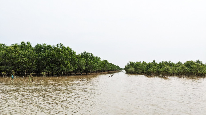 Dự án FMCR tại cửa Lạch Trường (Thanh Hóa).