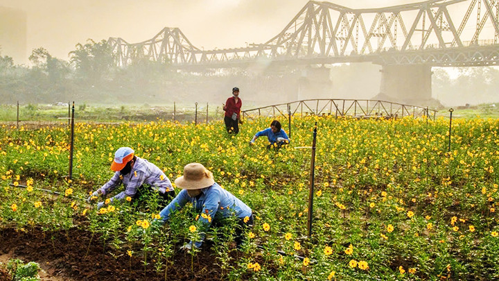 Phụ nữ quận Ba Đình chăm tưới hoa. Ảnh: KỲ NAM Phụ nữ quận Ba Đình chăm tưới hoa. Ảnh: KỲ NAM