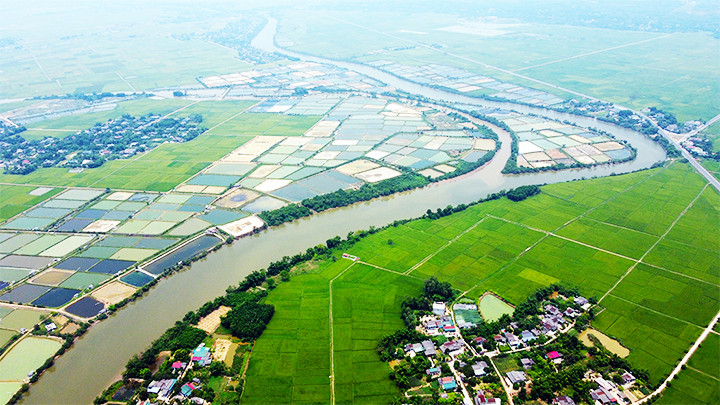 Ruộng đồng xanh ngát hai bên bờ sông Bến Hải hôm nay.