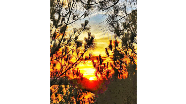 Bình minh trên đồi Vọng Cảnh.