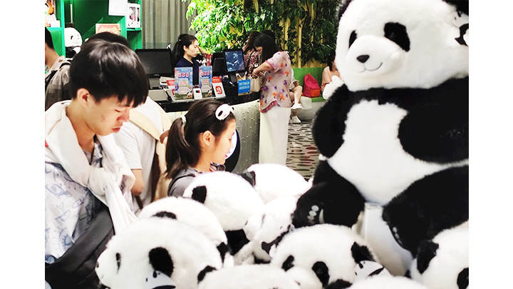 Du khách mua những chú gấu trúc bông làm quà lưu niệm.