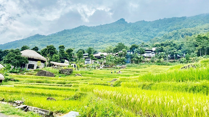Định hướng phát triển nông nghiệp gắn với xây dựng nông thôn mới và phát triển du lịch.Ảnh: THANH TÂM