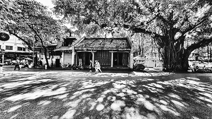 Yên bình trong nắng thu.