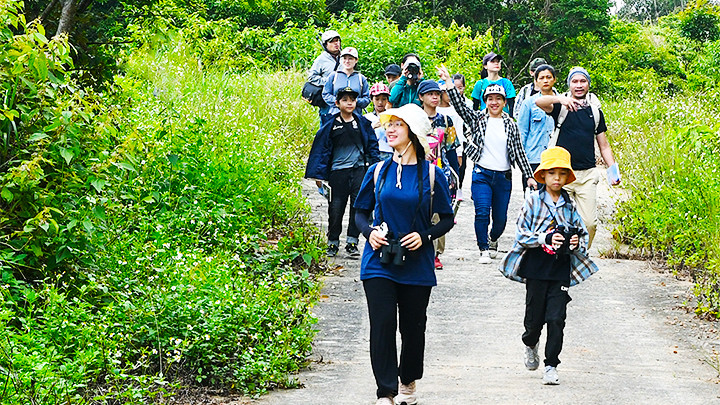 Các gia đình tham gia một tour trải nghiệm thiên nhiên, ngắm voọc Sơn Trà. Ảnh: HiVOOC