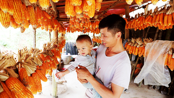 Sau mùa thu hoạch. Sau mùa thu hoạch.