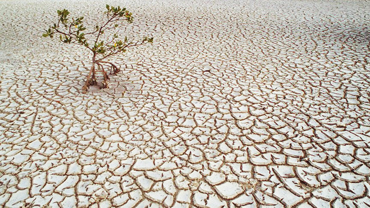 Tình trạng hạn hán được dự báo sẽ lan rộng trong vòng 2 thế kỷ tới. Ảnh: AP