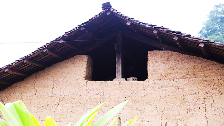 Tường nhà được trình đất khá dày. Tường nhà được trình đất khá dày.