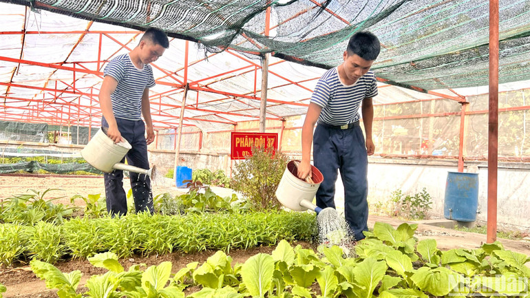 Chiến sĩ Bùi Thanh Tài (bên phải) cùng các đồng đội tưới rau sau giờ làm việc. Chiến sĩ Bùi Thanh Tài (bên phải) cùng các đồng đội tưới rau sau giờ làm việc.