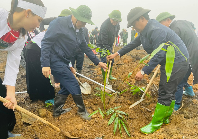 Phó Bí thư Thường trực Tỉnh ủy Tạ Văn Long tham gia trồng cây. (Ảnh THANH SƠN)