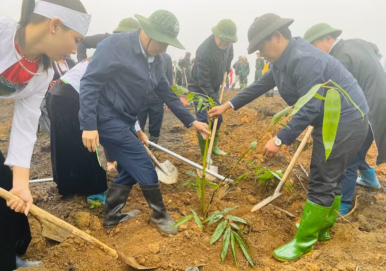 Phó Bí thư Thường trực Tỉnh ủy Tạ Văn Long tham gia trồng cây. (Ảnh THANH SƠN)