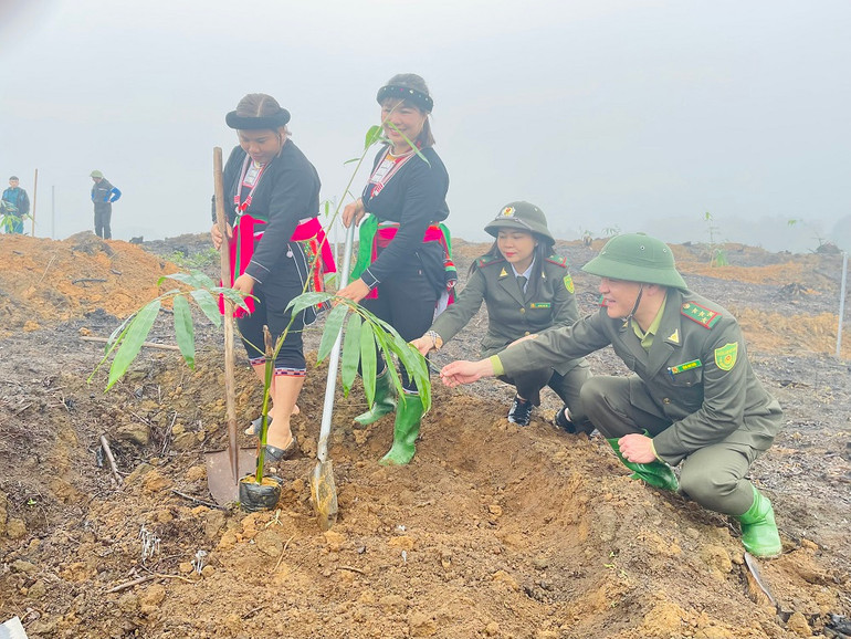 Đồng bào Dao xã Quy Mông tham gia trồng tre măng bát độ. (Ảnh THANH SƠN)