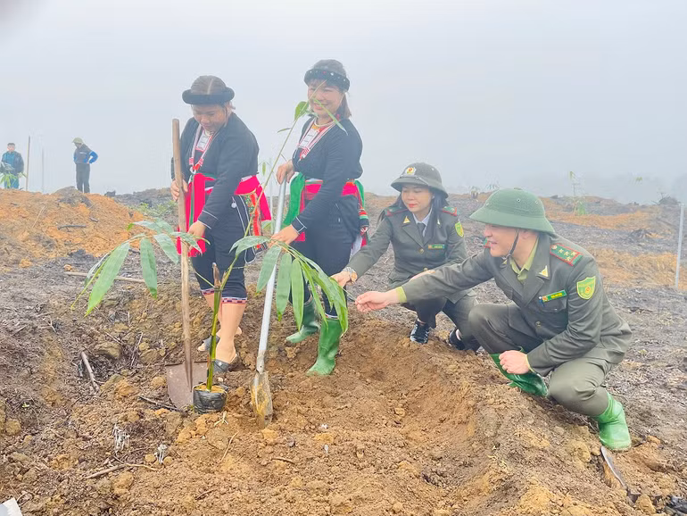 Đồng bào Dao xã Quy Mông tham gia trồng tre măng bát độ. (Ảnh THANH SƠN)