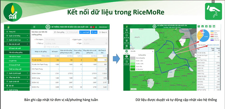 RiceMore có các hợp phần lưu trữ và xử lý dữ liệu sản xuất, giúp tính toán lượng phát thải khí nhà kính từ canh tác lúa từ cấp đồng ruộng.