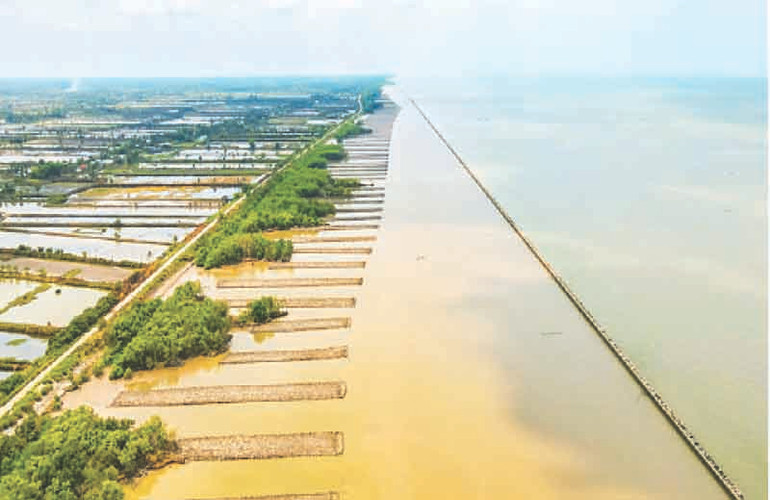 Mô hình trồng rừng đê biển Tây (đoạn Tiểu Dừa, xã Khánh Tiến, huyện U Minh) hiện nay dần được khôi phục. Mô hình trồng rừng đê biển Tây (đoạn Tiểu Dừa, xã Khánh Tiến, huyện U Minh) hiện nay dần được khôi phục.