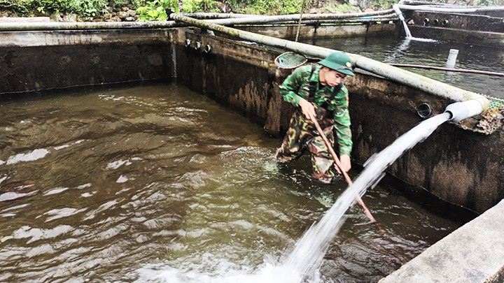 Vệ sinh bể nuôi cá.