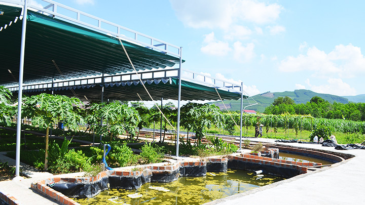 Trang trại đang được hoàn thiện để sớm phục vụ đón khách du lịch.