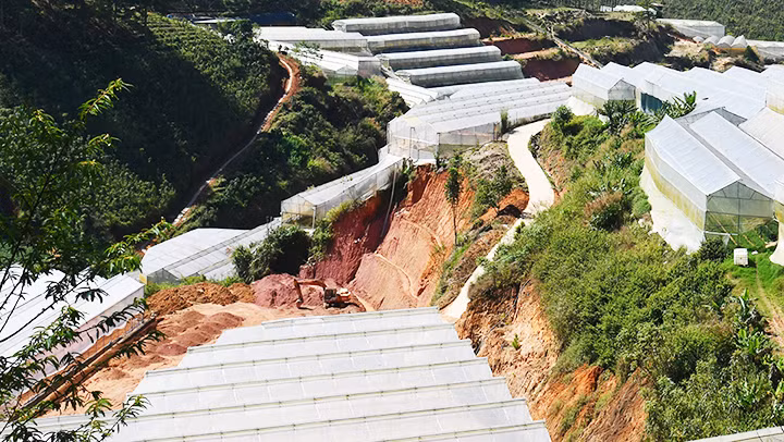 Nhiều diện tích đồi, núi bị khai thác để phát triển nhà kính.