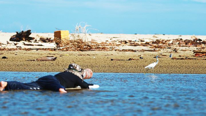 Nhiếp ảnh gia ngâm mình trong nước để chụp chim.
